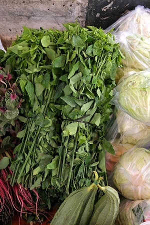 Katuk leaves for sale at the market. Ranau.