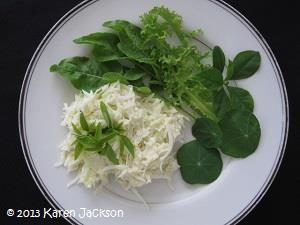 Green papaya salad with katuk tips, lettuce and nasturtium leaves