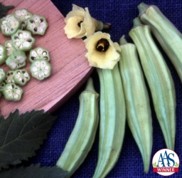 Okra cultivars