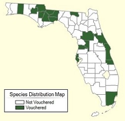 Arachis hypogaea Distribution Map