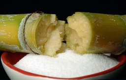Sugarcane and bowl of refined sugar