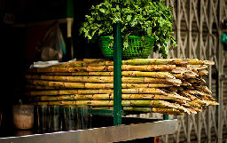Sugarcane Juice Stall
